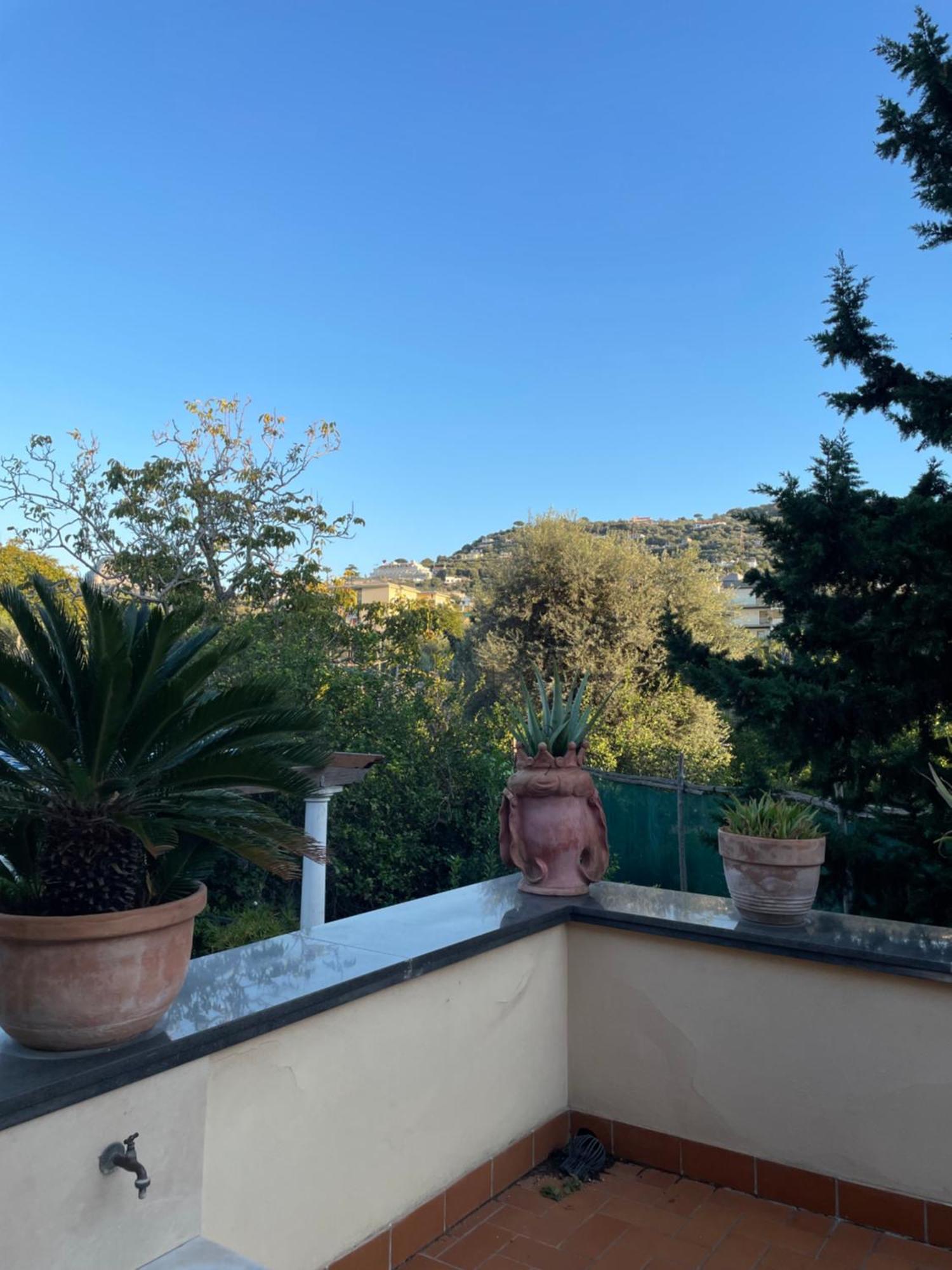 Domus Felix Bed and Breakfast Sorrento Exteriör bild