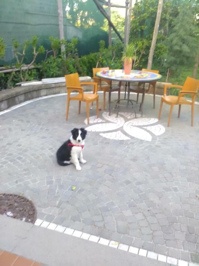 Domus Felix Bed and Breakfast Sorrento Exteriör bild